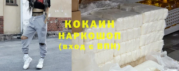 индика Алзамай