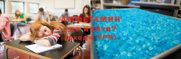 индика Алзамай