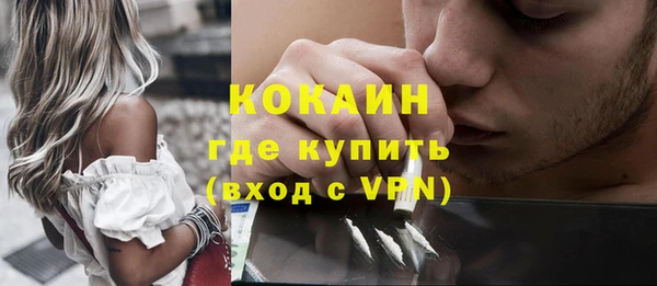 индика Алзамай