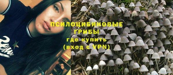 метадон Алексеевка