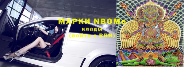 индика Алзамай