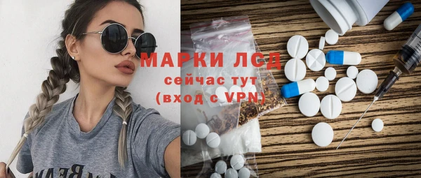 индика Алзамай
