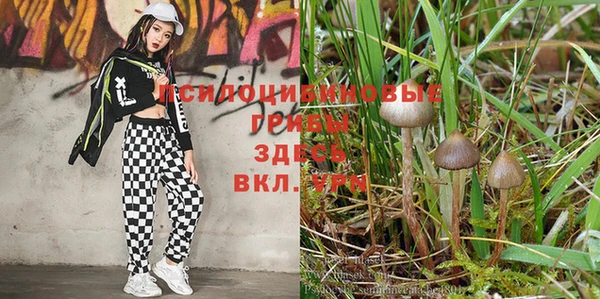 метадон Алексеевка